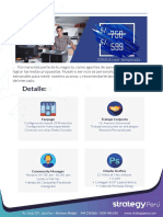 Brochure Strategyperu PDF