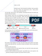 10-protein-sintesis.pdf