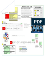 CM Challenger 1 PDF