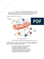 Resposta inflamatória e imunidade contra o vírus H5N1