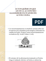 NEONICOTINOIDES Y ACETILCOLINA