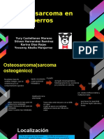 diapositivas del osteosarcoma 