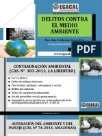 DELITOS AMBIENTALES.pdf