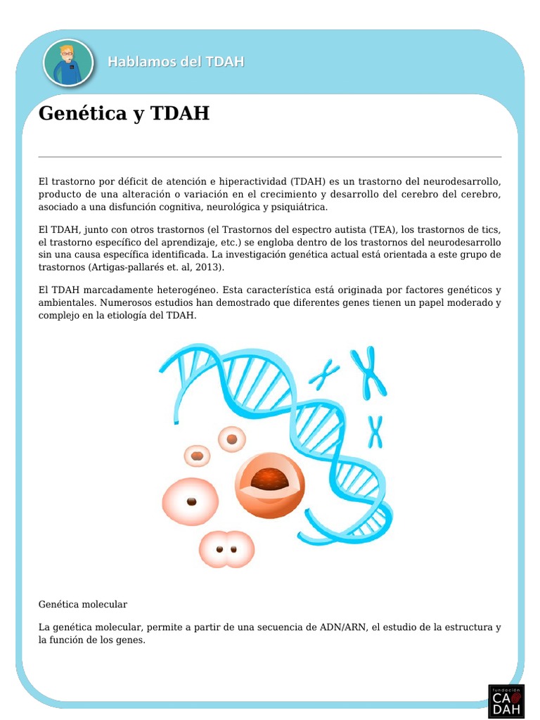 Genetica y Tdah PDF | PDF | Desorden hiperactivo y deficit de atencion ...