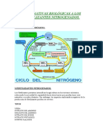fertilizantes nitrogenados.pdf
