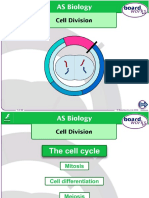 Cell Division