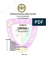 Silab0 Cirugia I 2018