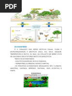 10. Ecossistema Com Prova
