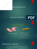 Dra Ampuero - Cirugía Laparoscópica