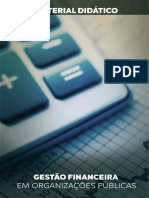 GESTÃO-FINANCEIRA-EM-ORGANIZAÇÕES-PÚBLICAS.pdf