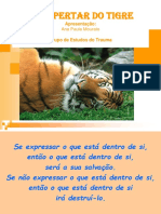 O_Despertar_do_Tigre.ppt