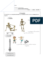 Taller de Ciencias Naturales El Esqueleto