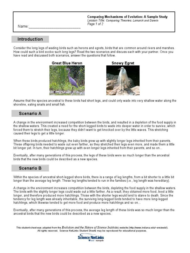Darwin Vs Lamarck Worksheet Pdf Charles Darwin Evolution