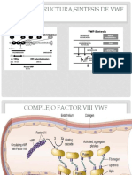 DIAPOS-DE-PATOLOGIA.pptx