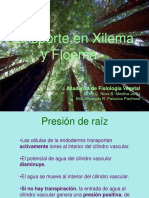 Transporte en Xilema y Floema.pptx