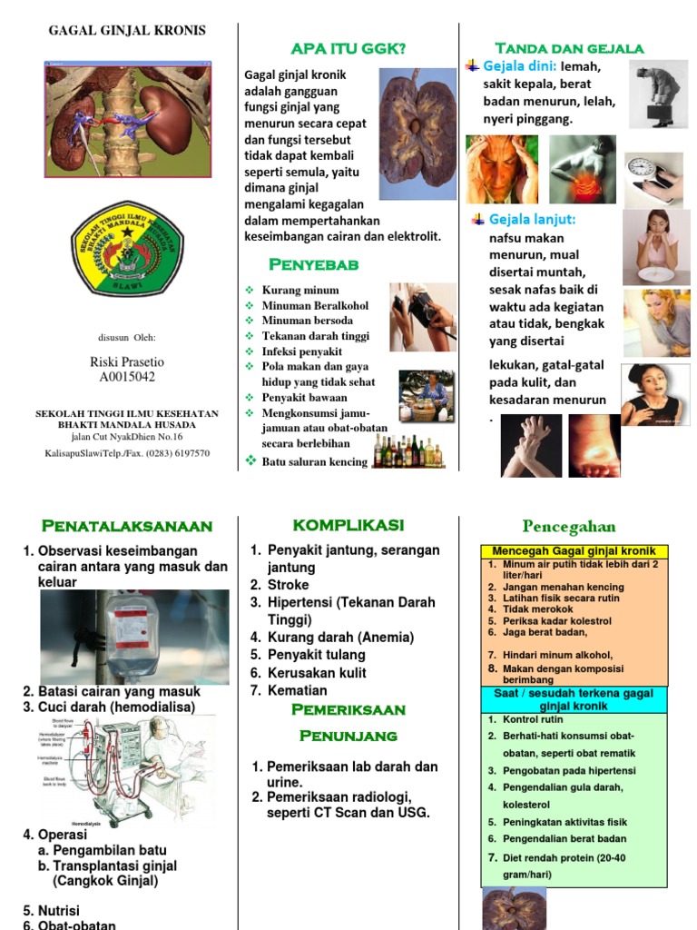 Leaflet Gagal Ginjal Akut | PDF