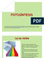 fotosc3adntesis.pdf