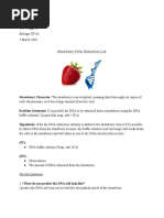 Dna Extraction Lab