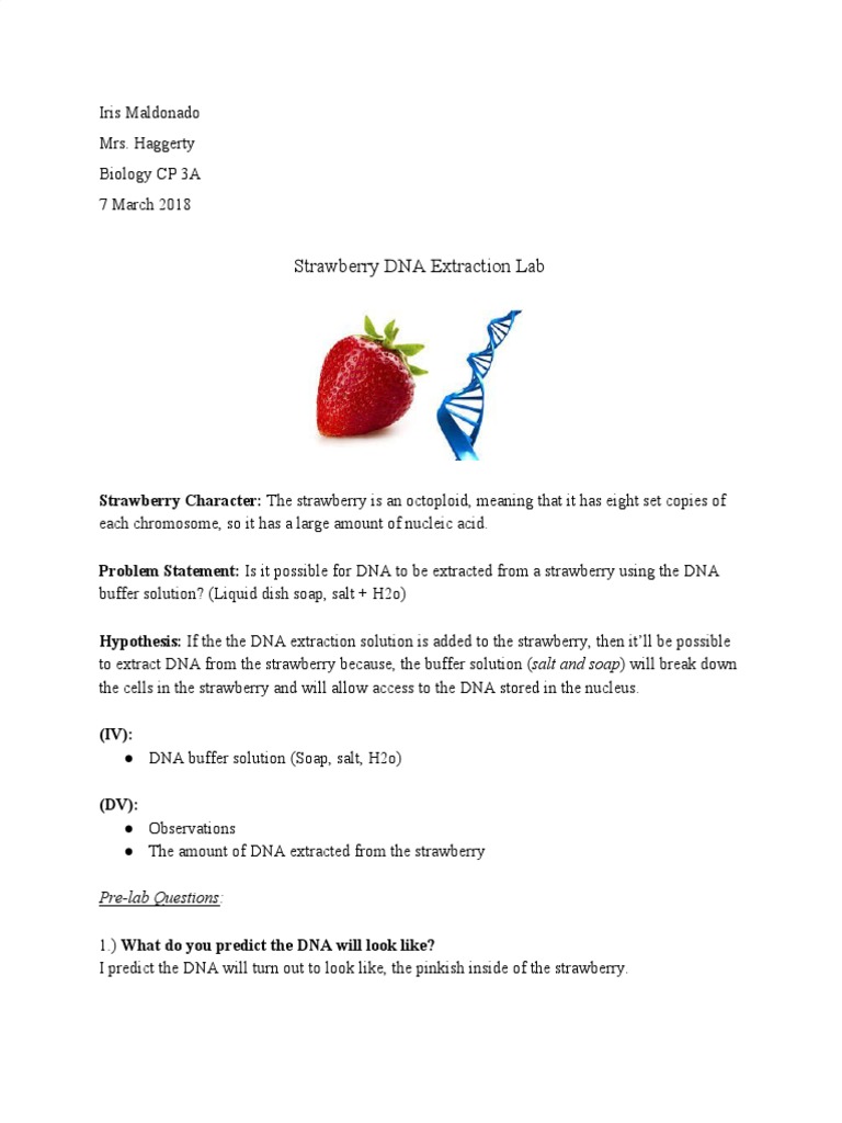 Dna Extraction Lab PDF Filtration Dna