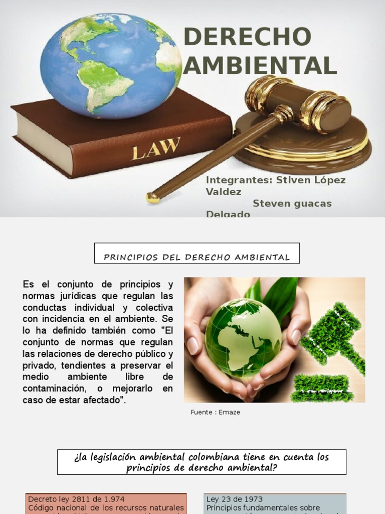 Principios Del Derecho Ambiental Ley del Medio Ambiente Residuos
