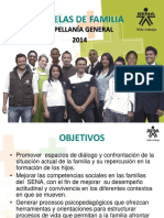 Lineamientos ESCUELAS DE FAMILIA 2014