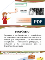 Implementacion Del Cneb Ppt