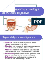 aparato_digestivo..imagenes.pdf