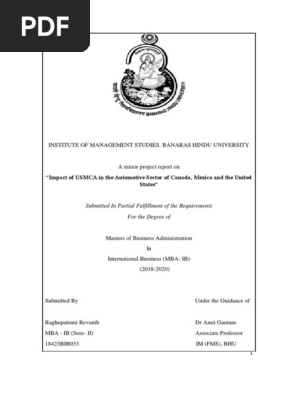 Final Report Minor Plagarism Free