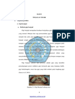 Bab Ii PDF