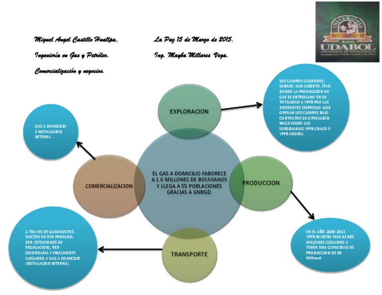 Impacto del Gas Domiciliario en Bolivia | PDF | Industria petrolera ...