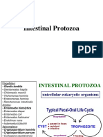 Pneumocystis Carini (j )