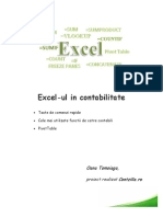 Excel-ul-in-Contabilitate .pdf