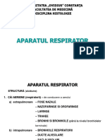 Aparatul Respirator