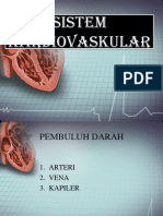 Sistem Kardiovaskular