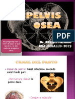 PELVIS OSEA 2010.ppt