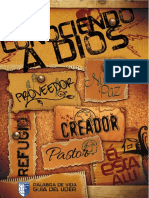 Guia Del Lider 2015 PDF