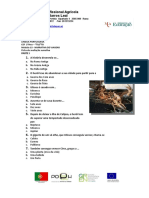 teste odisseia b.docx