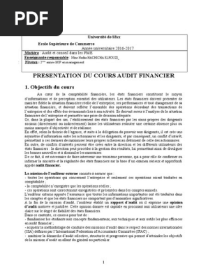 Cours Audit Def17 A Distance Audit Audit Financier