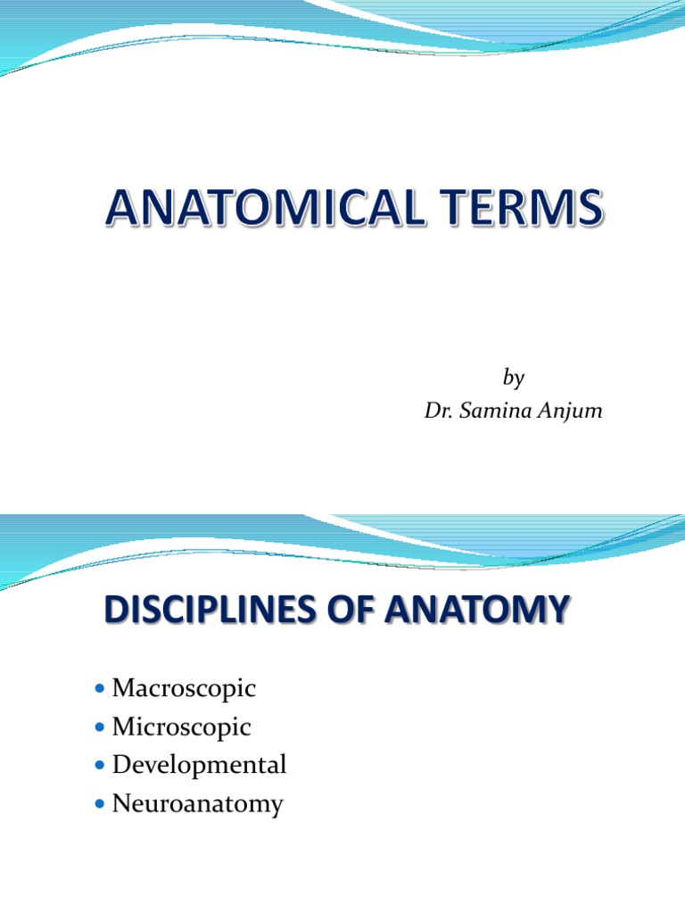Anatomical Terms PDF Anatomical Terms Of Motion Anatomical Terms