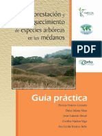 Reforestación de Especies Arbóreas en Médanos