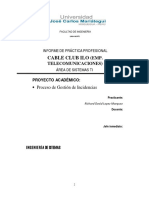 Informe de Practica Pre Profesional Ii I