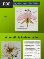 Ae Port1 Ficha Ava Tri 1 3