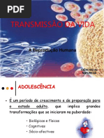 transmissaovida