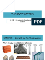 Year 7 Notes Chapter B1. 2 Structure and Function of Body System