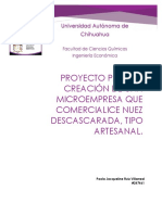 PROYECTO NUEZ