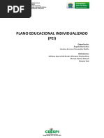PEI - Plano Educacional Individualizado 2019 - WORD (1).docx