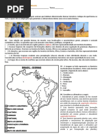 Mapa Mental dos Biomas Brasileiros | PDF | Florestas | Geociências