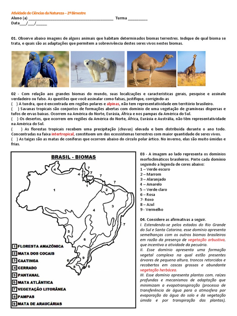 Atividades Sobre Os Biomas Brasileiros 5o Ano Com Gabarito