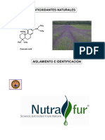 2012 01 24 AntioxidantesEnNaturaleza AislamientoIdentificacion PDF
