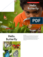 Hello, Butterfly